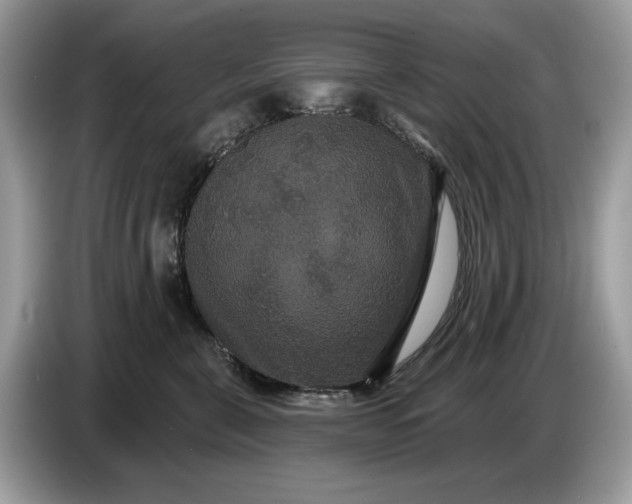 X0000086730571200704271633