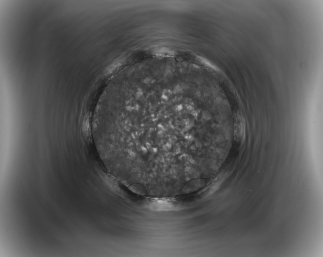 X0000086730573200704271633