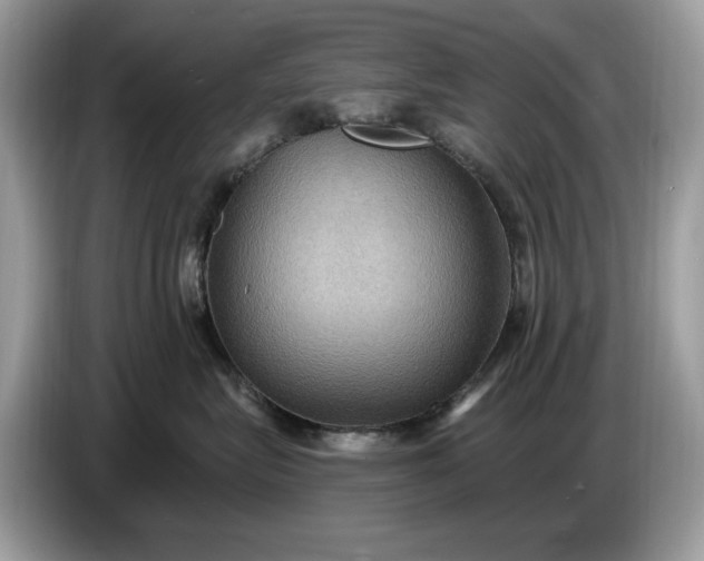 X0000086730575200704271633