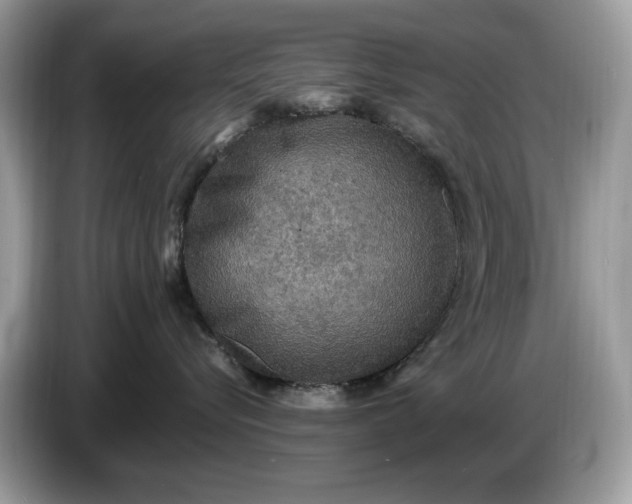 X0000086730576200704271633