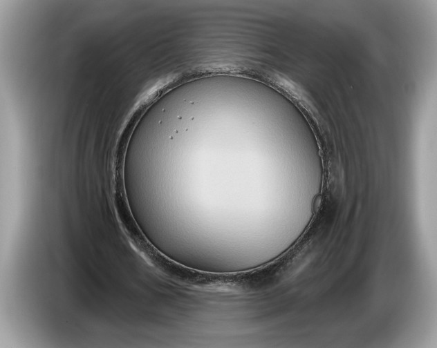 X0000086730578200704271632