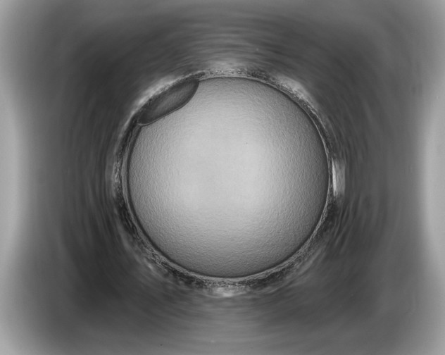 X0000086730579200704271632