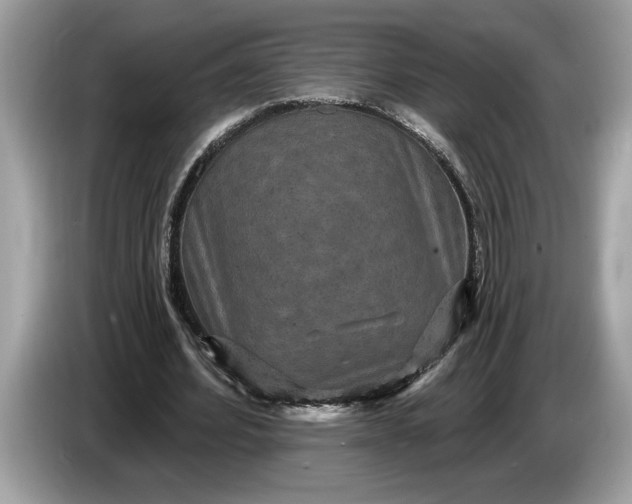 X0000086730580200704271632