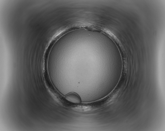 X0000086730582200704271632