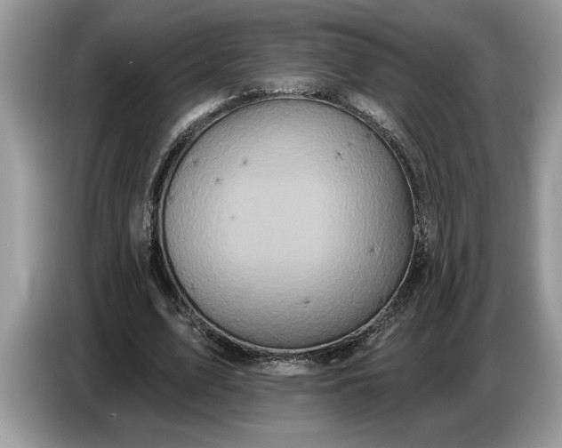 X0000086730583200704271632