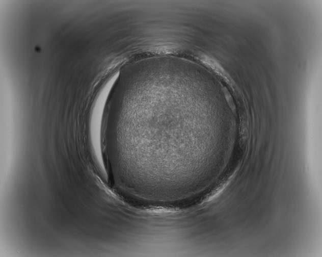 X0000086730585200704271632