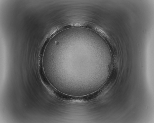 X0000086730586200704271632