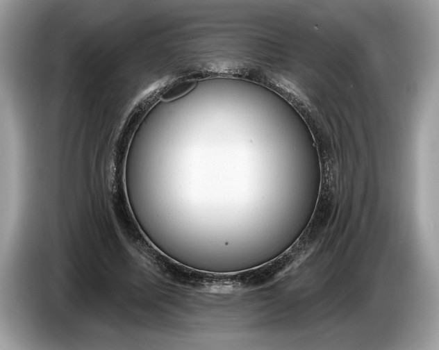 X0000086730587200704271632