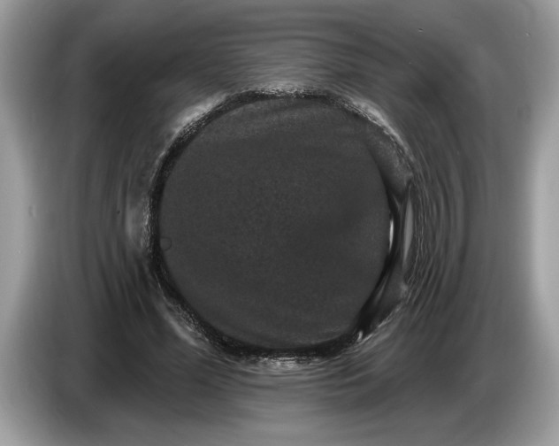 X0000086730588200704271632