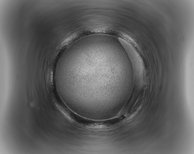 X0000086730589200704271632