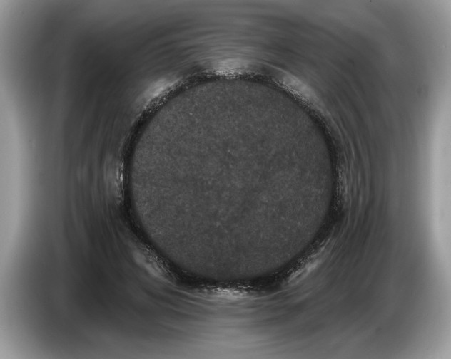 X0000086730592200704271632