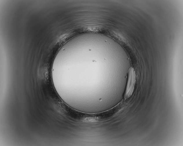 X0000086730595200704271632