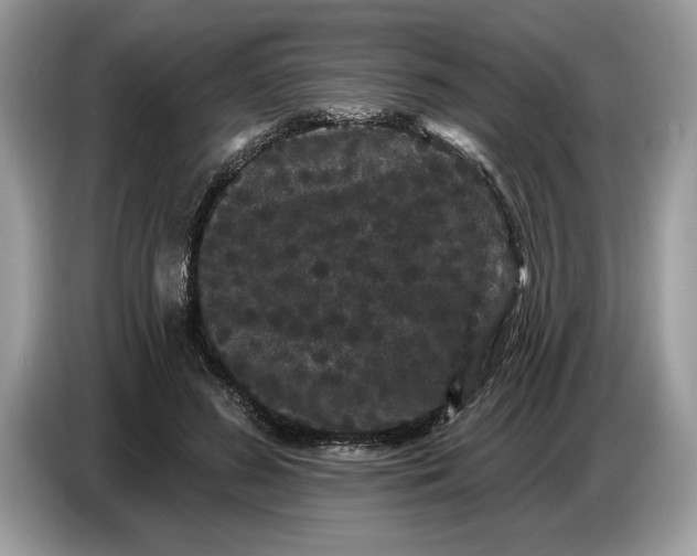 X0000086730596200704271632