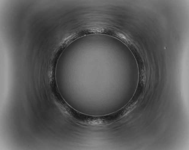 X0000086730600200704271632