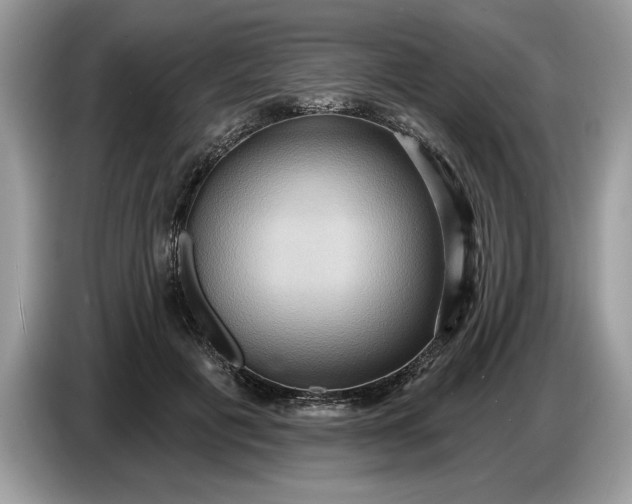 X0000086730601200704271632