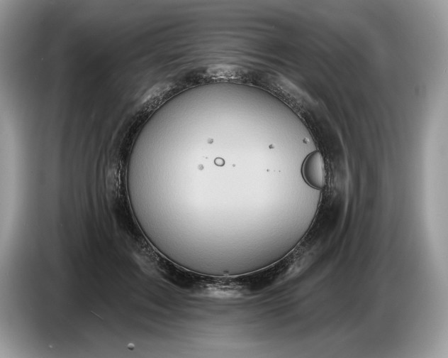 X0000086730603200704271632