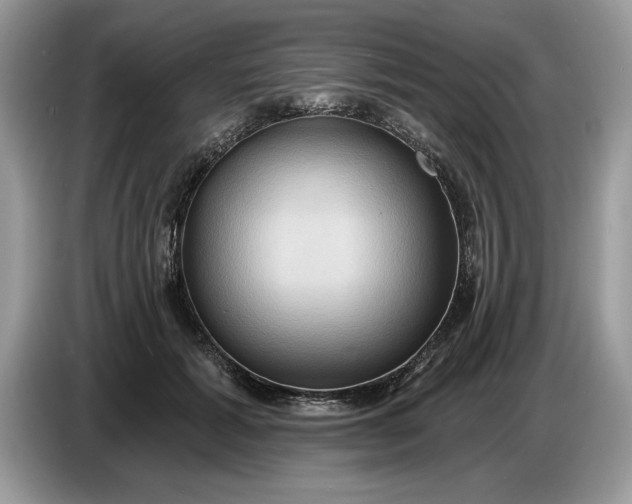 X0000086730605200704271632