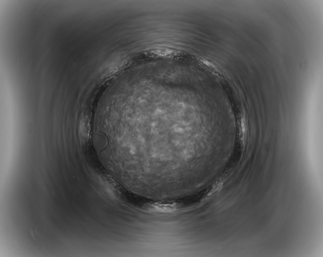 X0000086730606200704271632