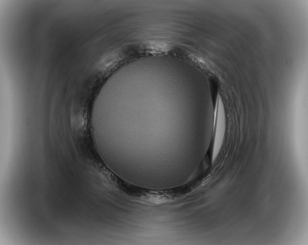 X0000086730608200704271632