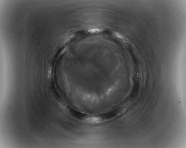 X0000086730610200704271632