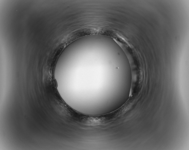 X0000086730613200704271632