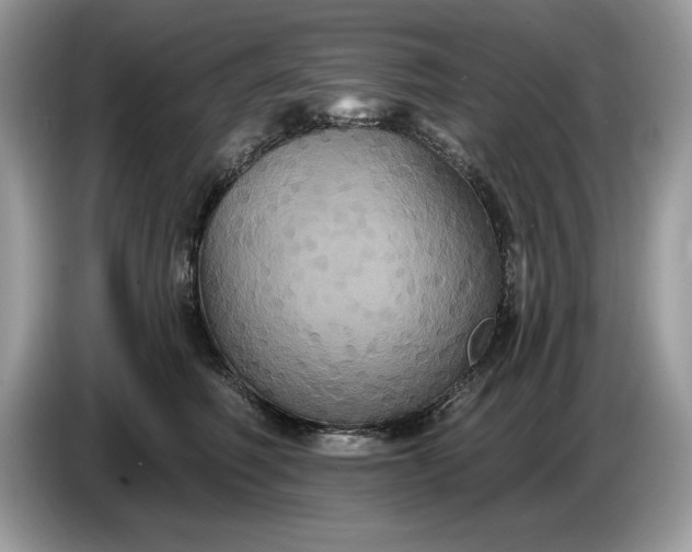 X0000086730614200704271632