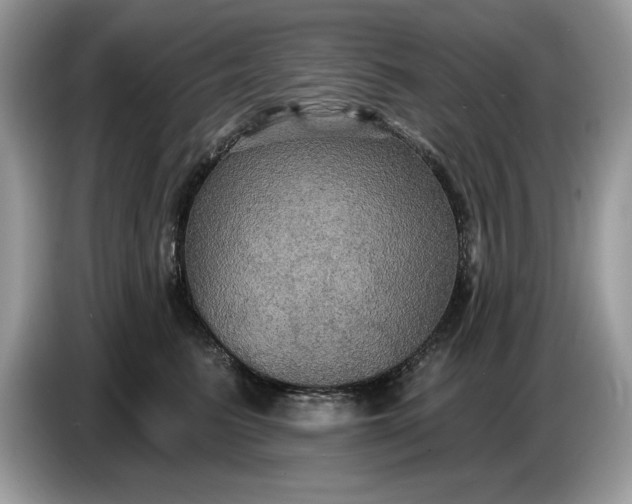 X0000086730615200704271632