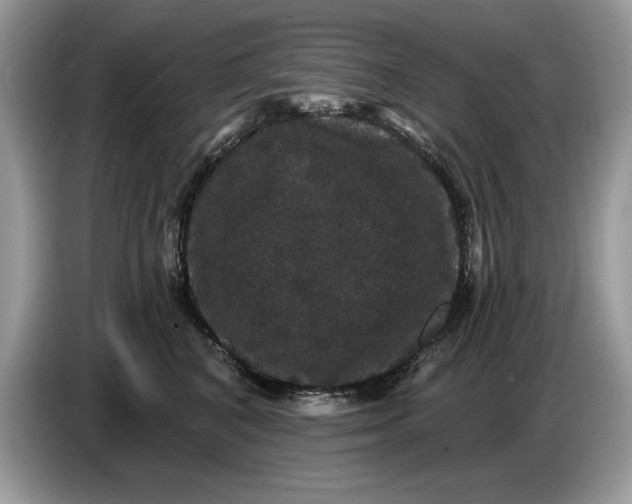 X0000086730616200704271632