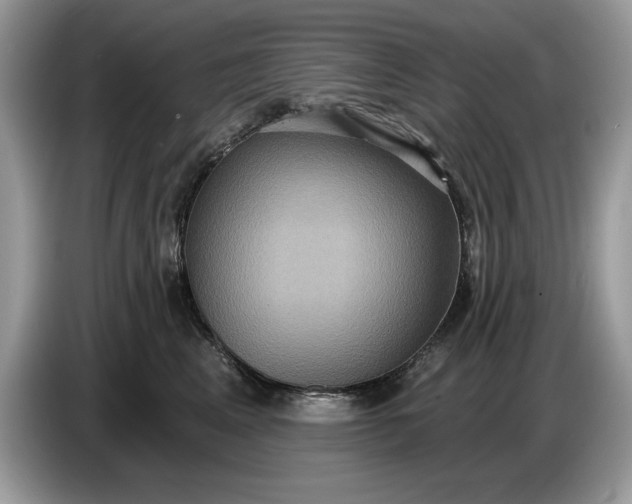 X0000086730617200704271632