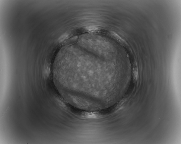 X0000086730618200704271632