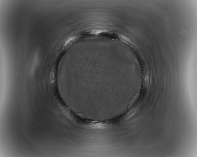 X0000086730620200704271632