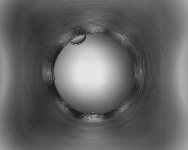 X0000086730622200704271632