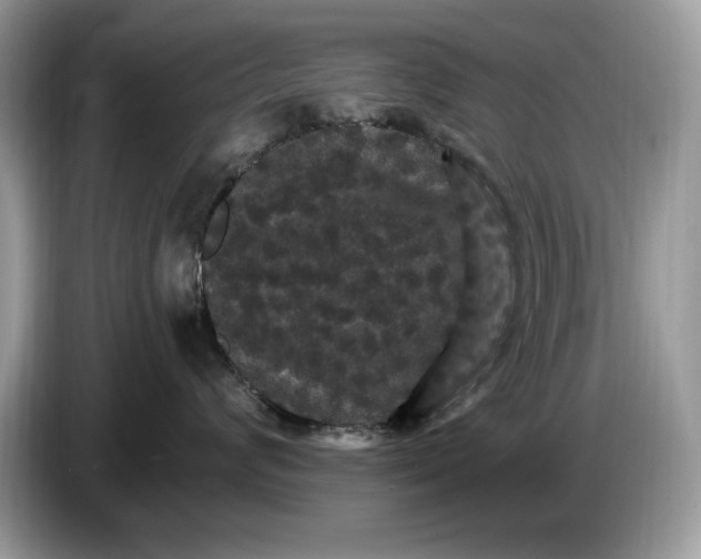 X0000086730624200704271632