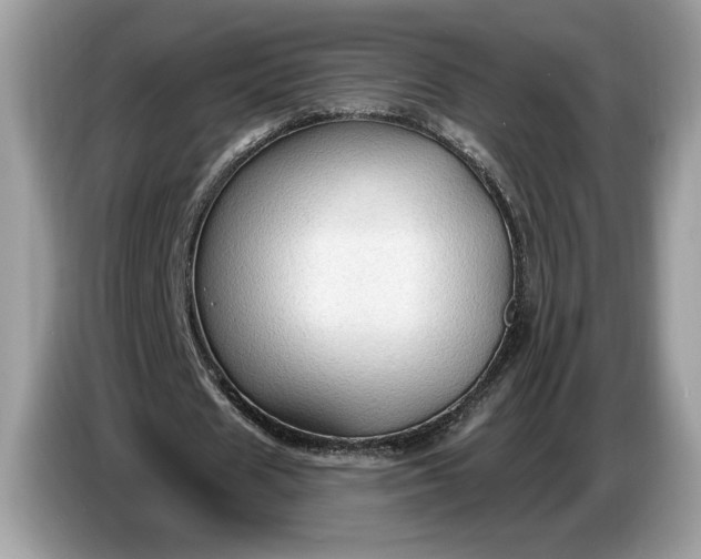 X0000086730625200704271631