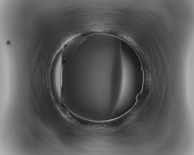 X0000086730626200704271631