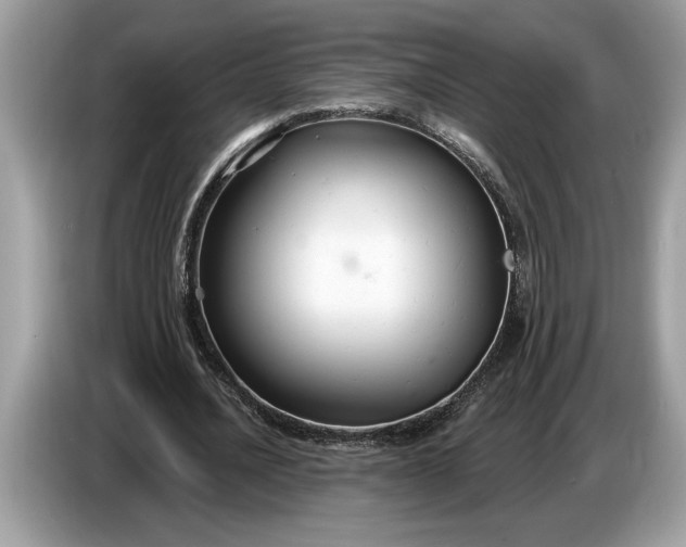 X0000086730628200704271631