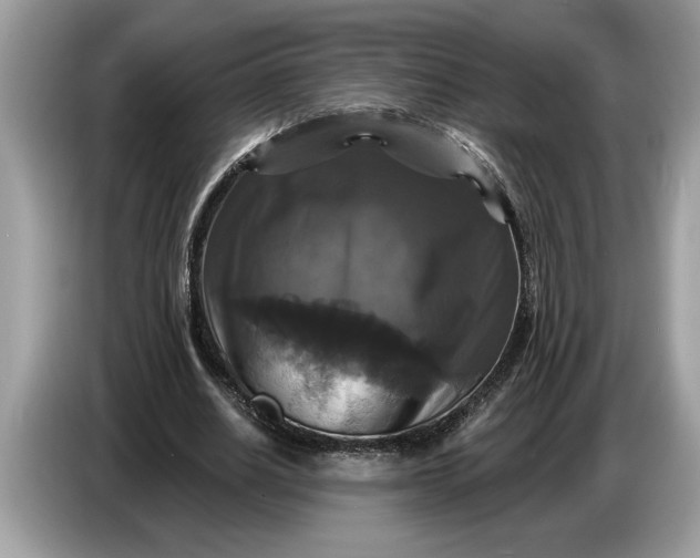 X0000086730630200704271631