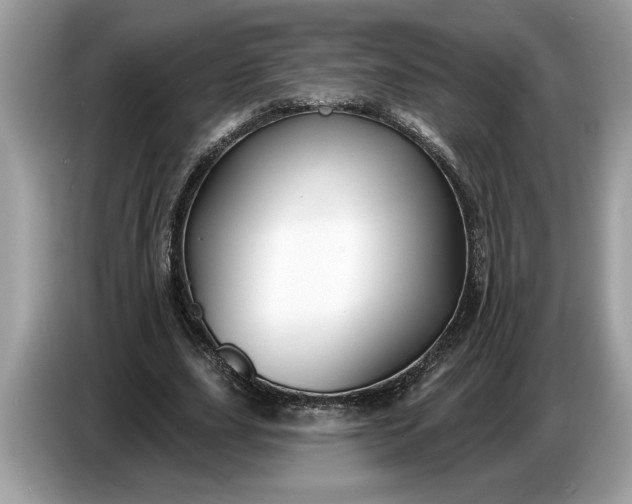 X0000086730631200704271631