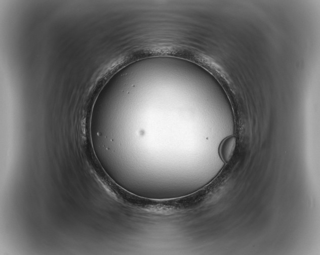 X0000086730633200704271631