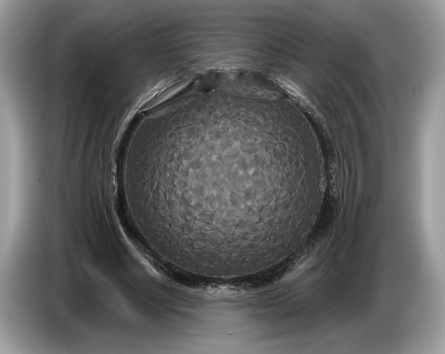 X0000086730634200704271631