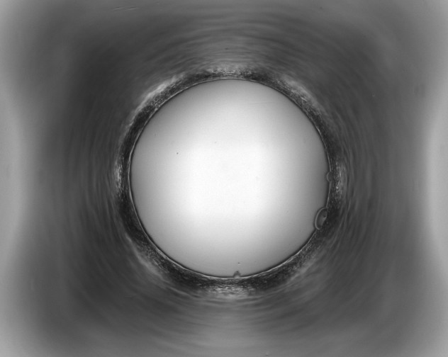 X0000086730636200704271631