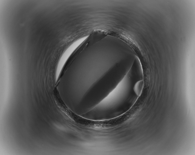 X0000086730641200704271631