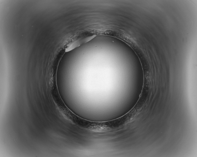 X0000086730642200704271631