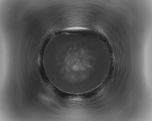 X0000086730643200704271631