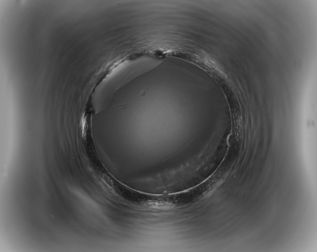 X0000086730644200704271631