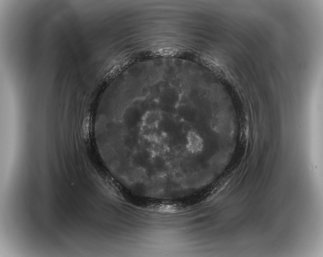 X0000086730647200704271631