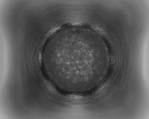 X0000086730648200704271631