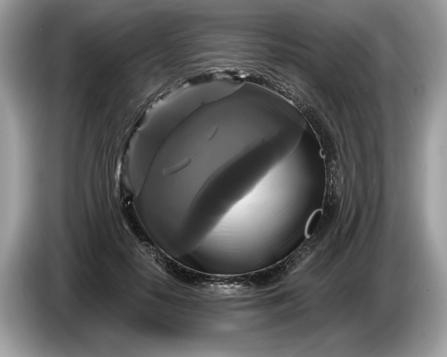 X0000086730650200704271631