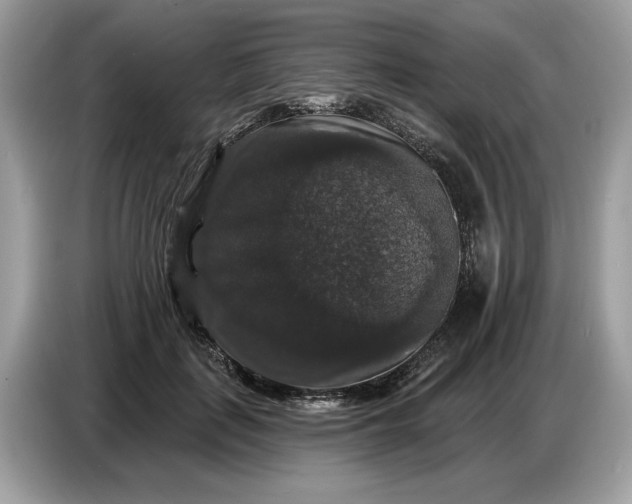 X0000086730651200704271631