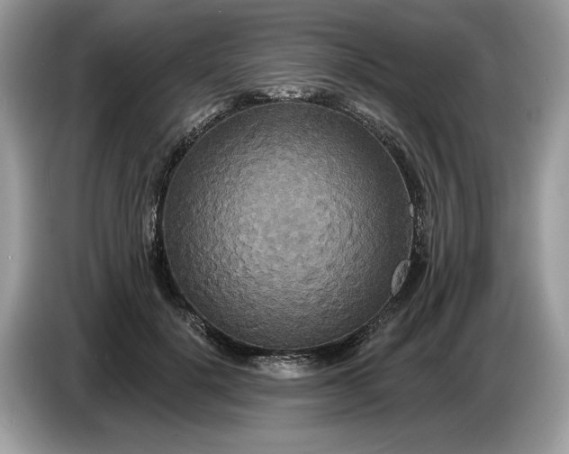 X0000086730652200704271631